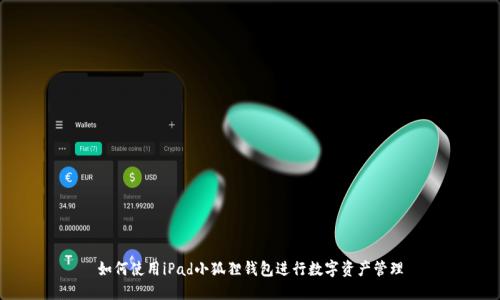 如何使用iPad小狐狸钱包进行数字资产管理